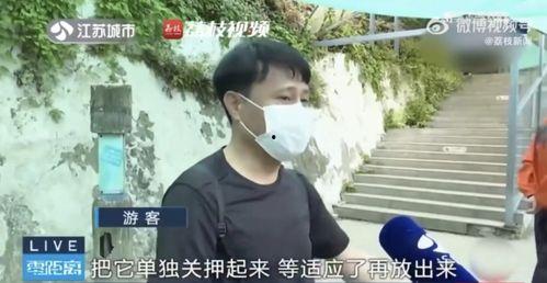 网友拍到网红吃瓜,网友直呼“太真实”  第1张
