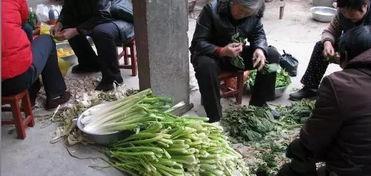 凉山吃瓜网红事件,揭秘网络舆论背后的真相与反思  第3张